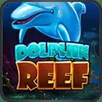 Doplhin Reef